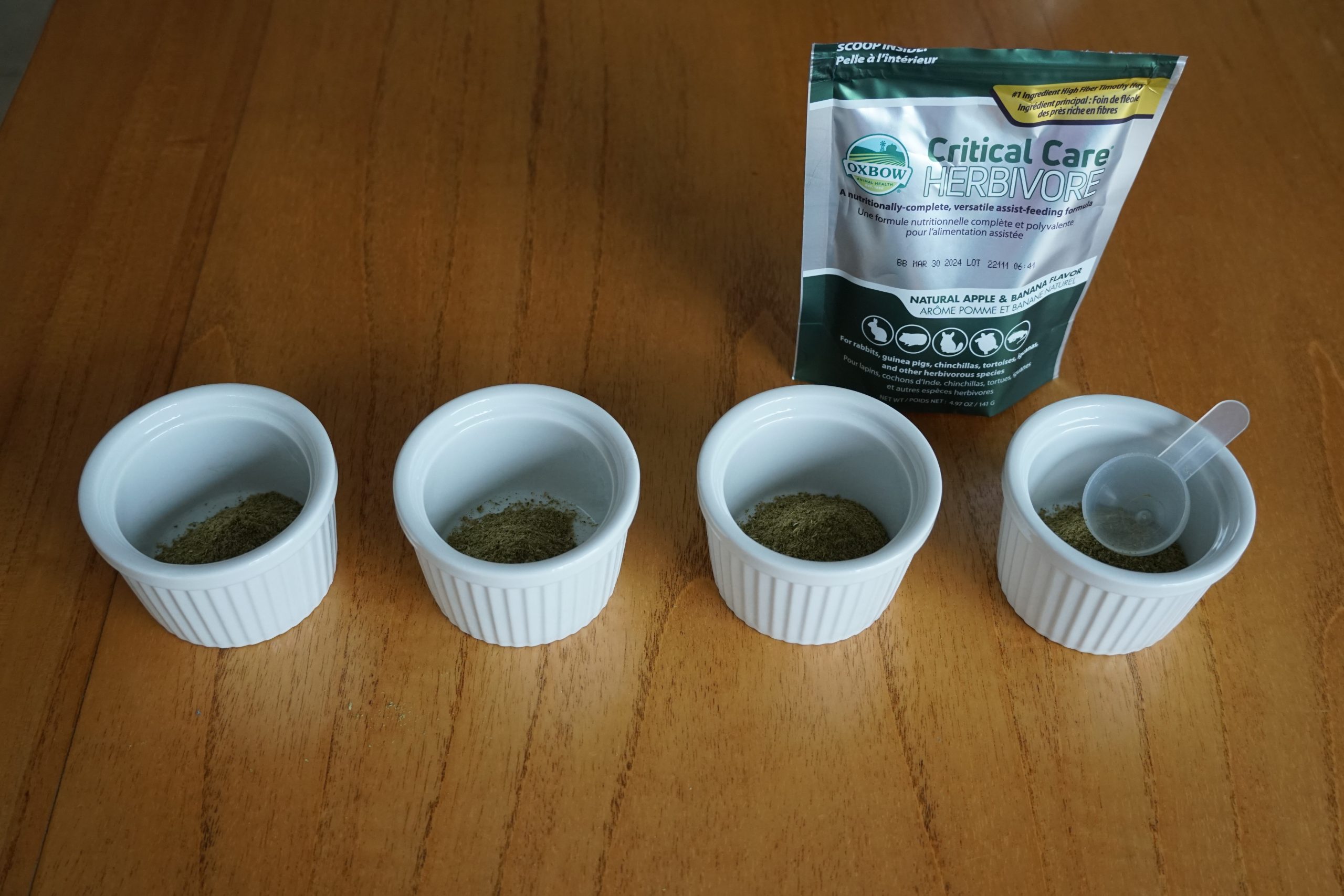 A bowl of mixed herbivore recovery formula next to several clean feeding syringes on a countertop, ready for emergency hand-feeding a rabbit or guinea pig