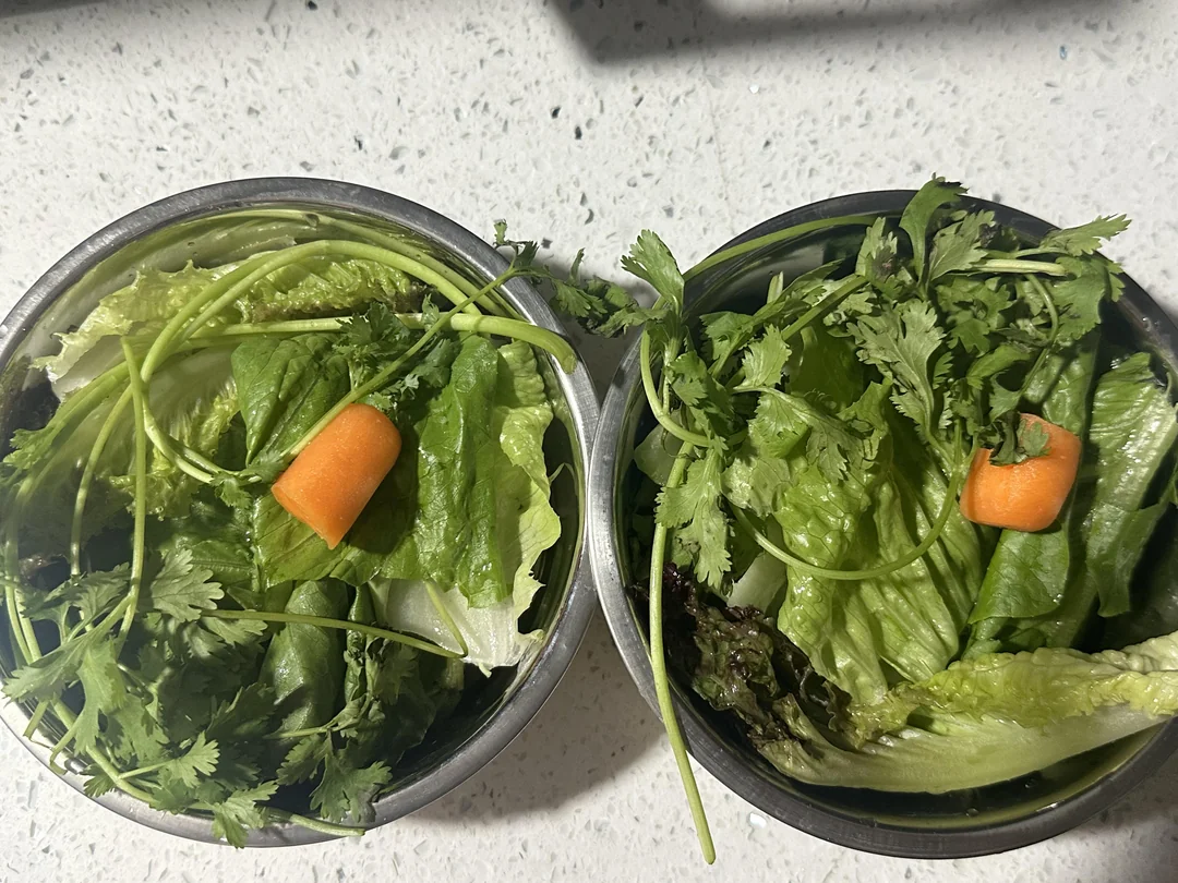 A ceramic bowl filled with mixed leafy greens sitting on the floor of an indoor rabbit enclosure