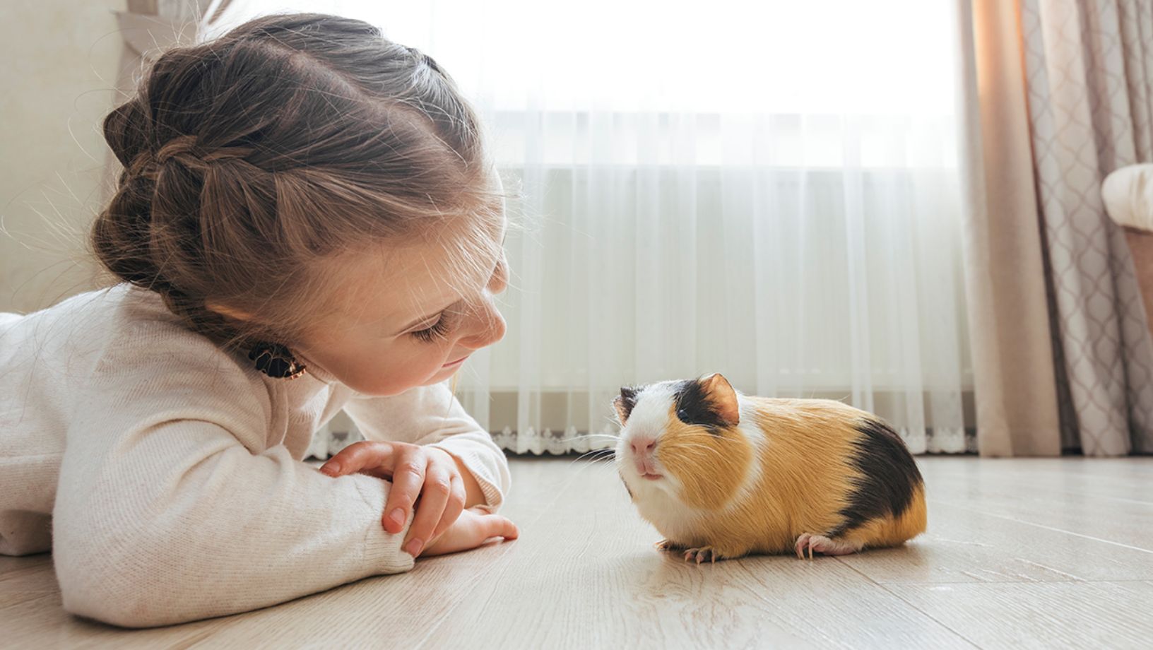 A child sitting cross-legged on a rug while gently stroking a guinea pig’s head as an adult supervises nearby