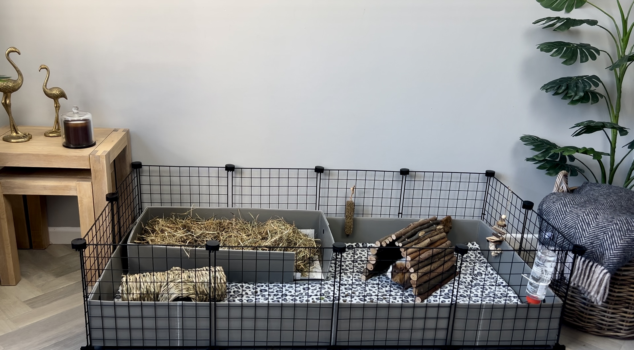 A clean C&C guinea pig cage with a fleece liner, a separate kitchen area filled with hay, and two guinea pigs eating near the hay pile