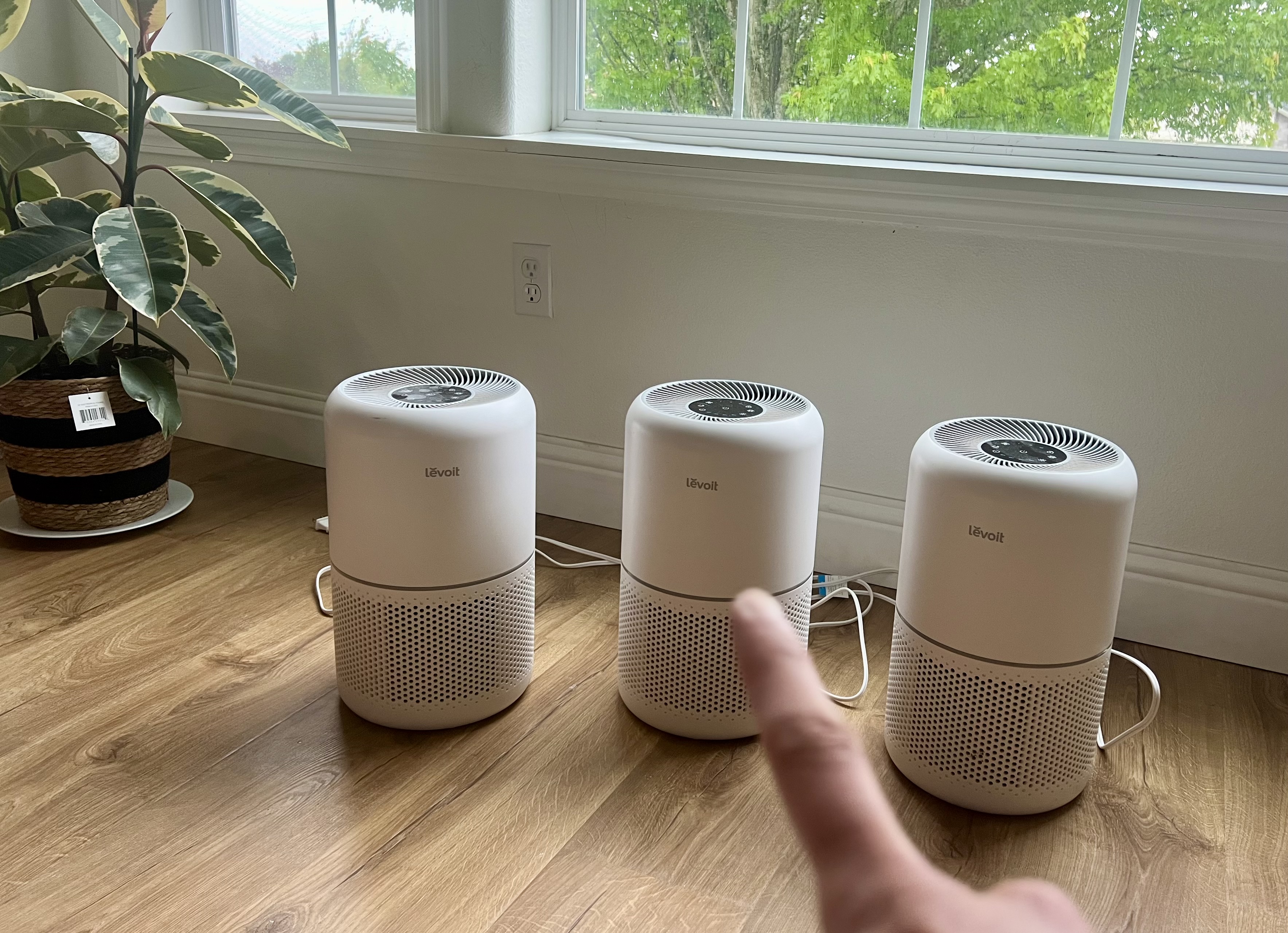 Choosing an Air Purifier for Hay Dust and Dander