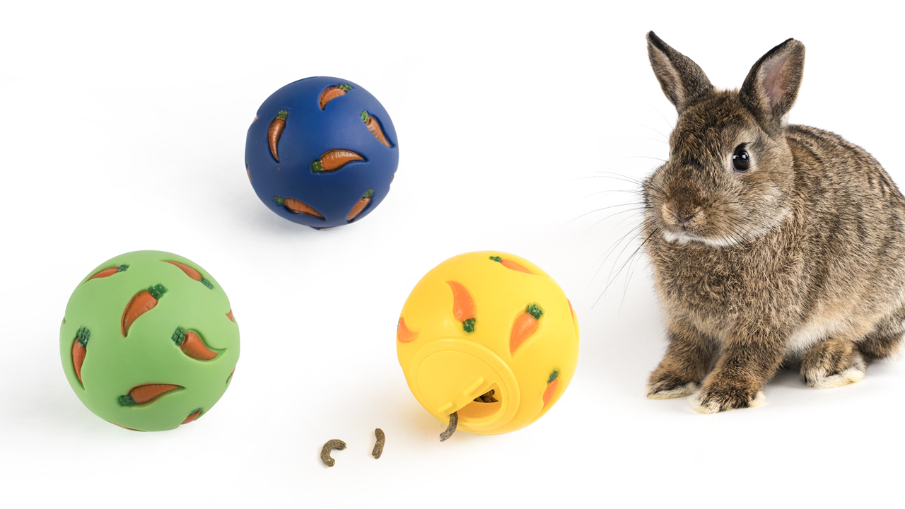 A gray rabbit nudging a clear treat ball on a carpet while a few pellets tumble out, indoor home setting