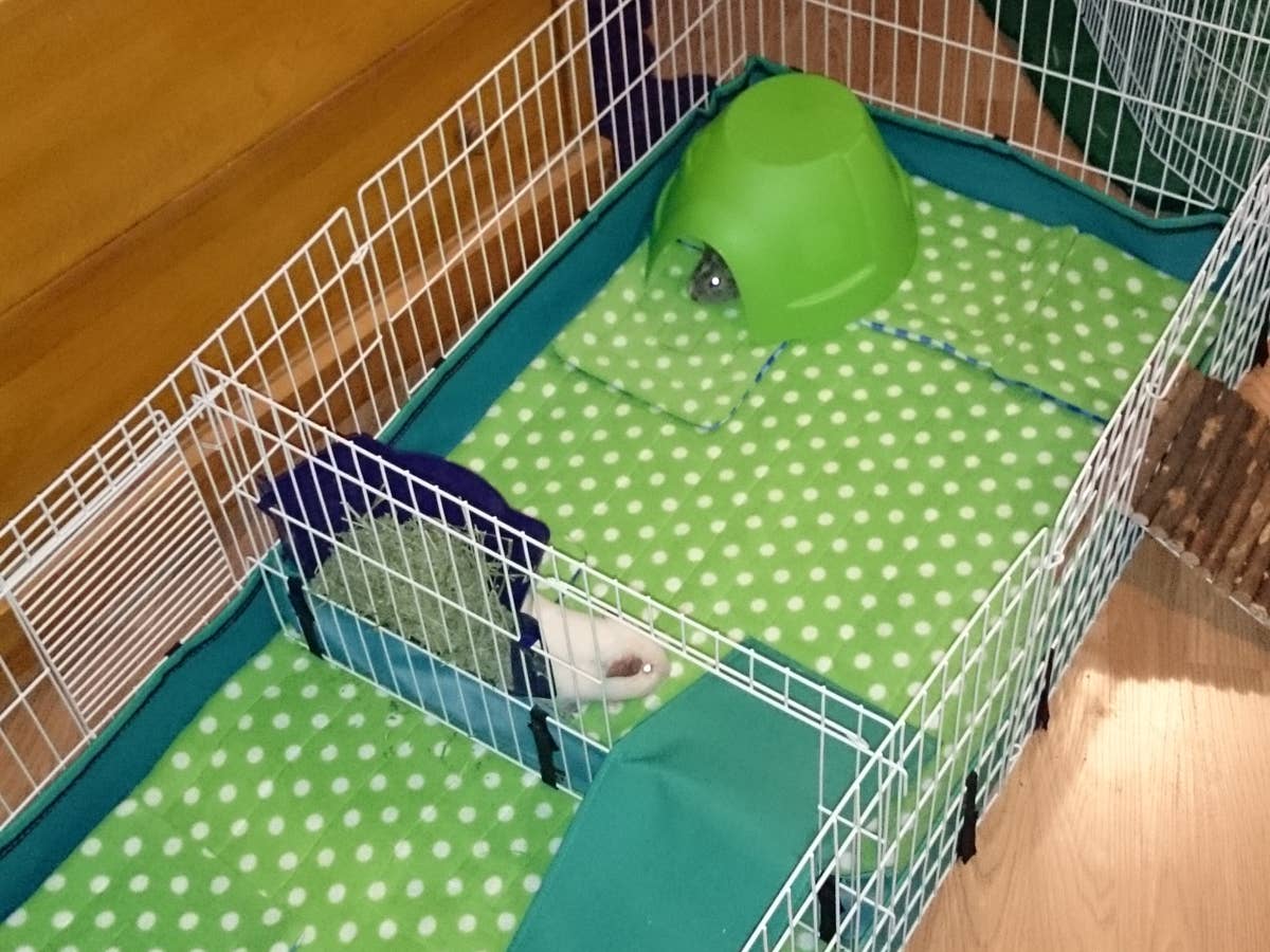 Fleece Liners vs. Paper Bedding for Rabbits and Guinea Pigs