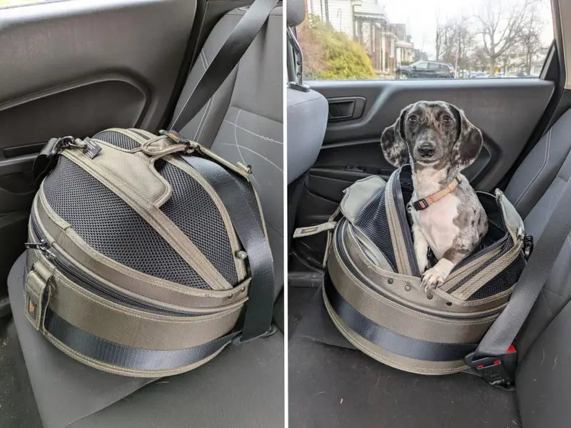 A-hard-sided-pet-carrier-secured-with-a-seat belt on the back seat of a car, positioned level for safe transport