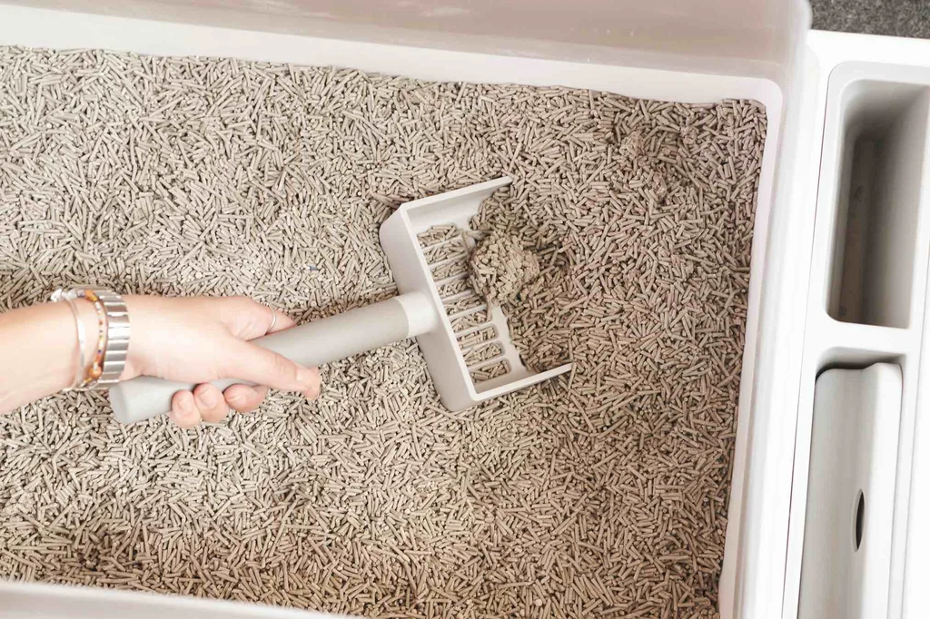 A litter pan with a thin, even layer of paper pellet litter spread across the bottom