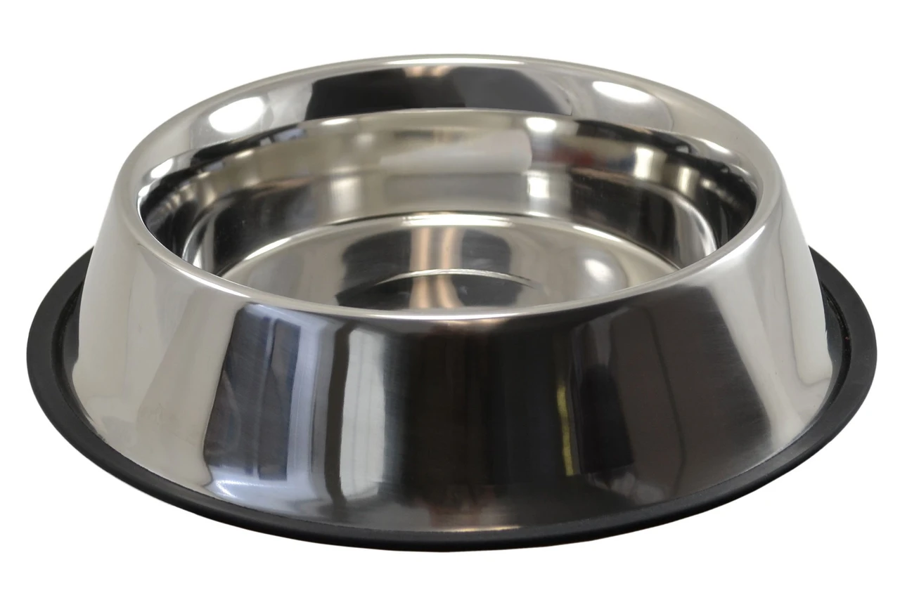 A low, wide stainless steel pet bowl with a rubber base sitting on a smooth floor, photographed in natural indoor light
