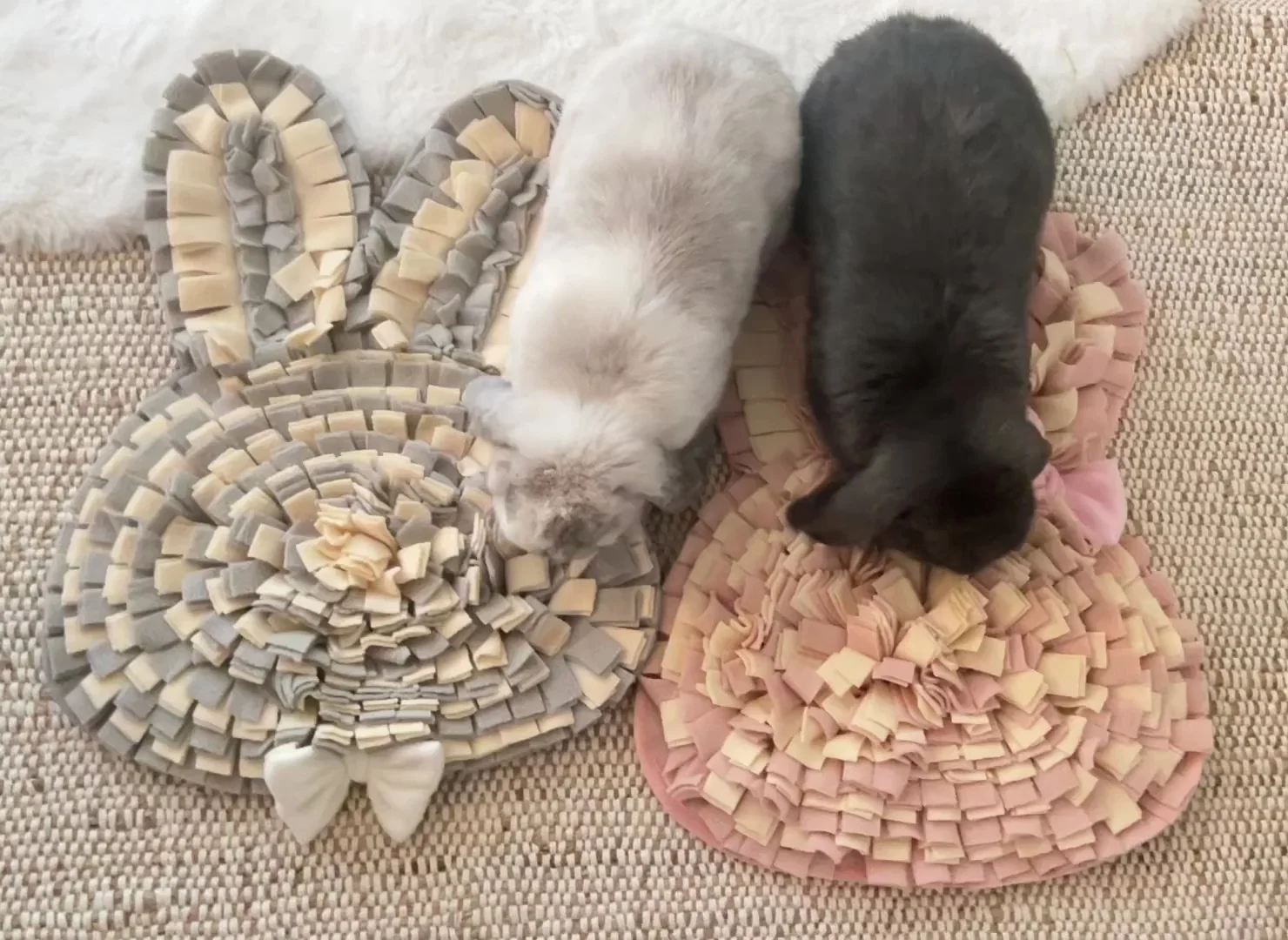 Foraging Mats and Puzzle Toys for Rabbits and Guinea Pigs
