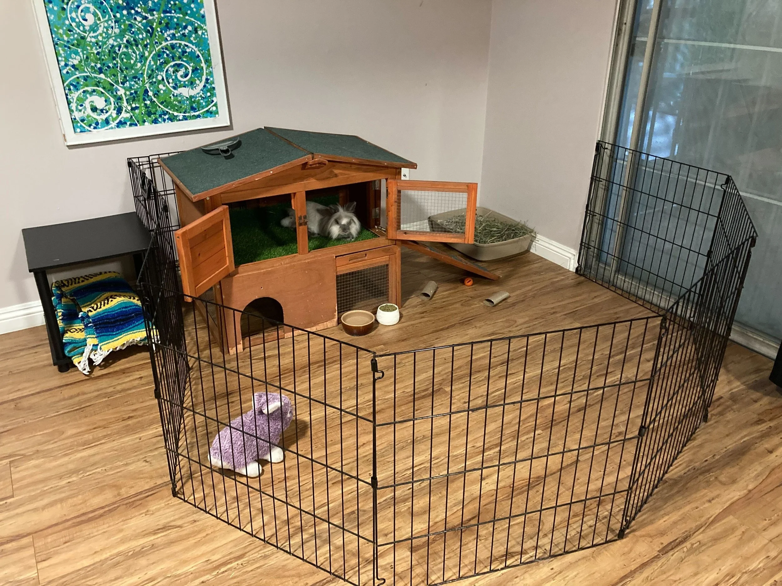 Best Flooring to Prevent Sore Hocks in Rabbits and Guinea Pigs