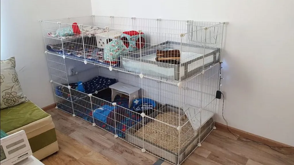 Build a C&C Cage for Guinea Pigs and Rabbits