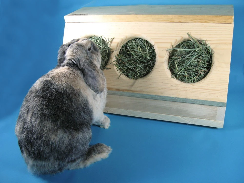 A tidy indoor rabbit enclosure with a large pile of fresh timothy hay in a hay rack next to a water bowl