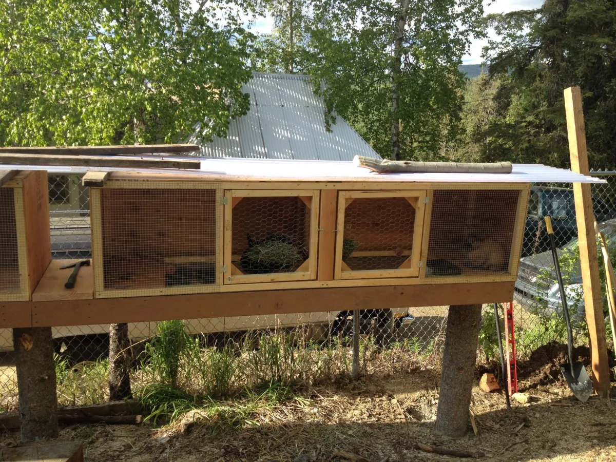 An outdoor rabbit hutch placed fully in deep shade under a covered patio with strong ventilation through wire panels