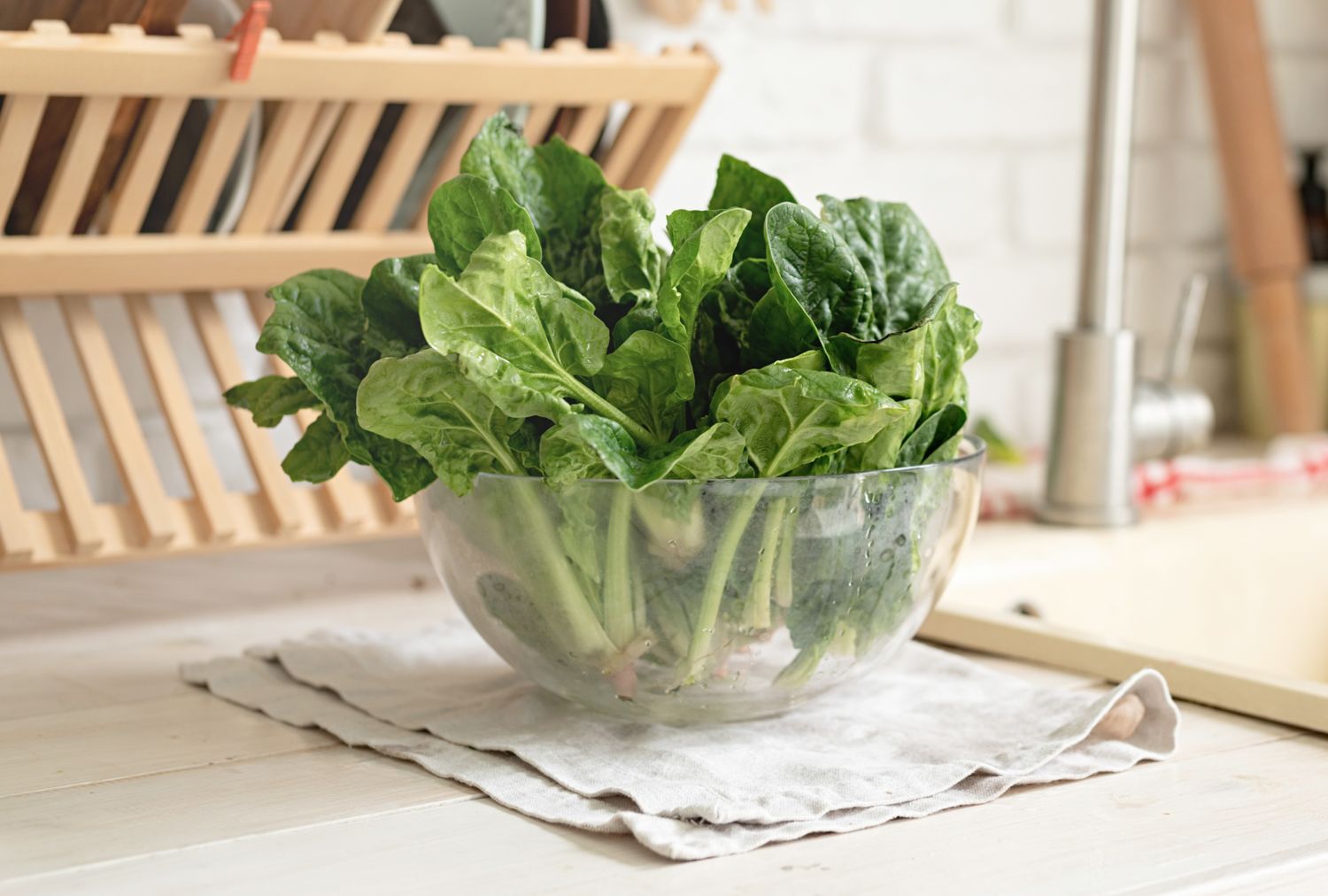 Washed romaine, cilantro, and red leaf lettuce drying on a clean kitchen towel beside a salad spinner